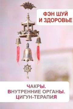Долма Джангкху - Фэн-шуй сверхвысоких технологий
