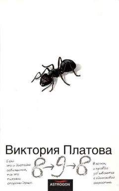 Виктория Щабельник - Паутина прошлого