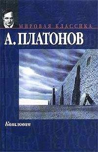 Андрей Платонов - Московская скрипка