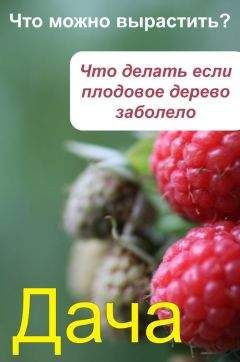 Наталия Дмитриева - Болезни и вредители плодов. Новейшие препараты для защиты