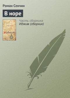 Роман Сенчин - Алексеев – счастливый человек