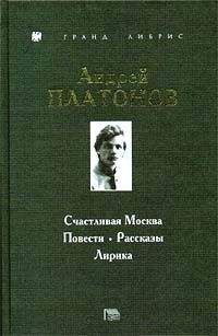 Андрей Платонов - Оборона Семидворья