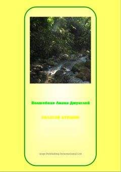 Кузнецова, Федоровна - АЯУАСКА, ВОЛШЕБНАЯ ЛИАНА ДЖУНГЛЕЙ : ДЖАТАКА О ЗОЛОТОМ КУВШИНЕ В РЕКЕ