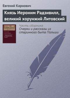 Евгений Карнович - Польское посольство во Францию