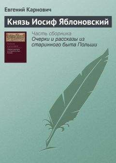 Евгений Карнович - Польское посольство во Францию