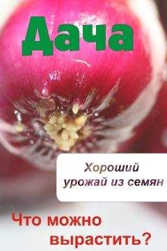Юлия Белочкина - Лианы