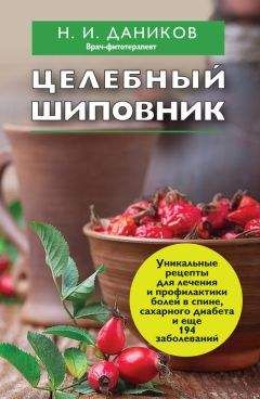 Рената Равич - Копилка семейного здоровья: как укрепить здоровье семьи без лекарств