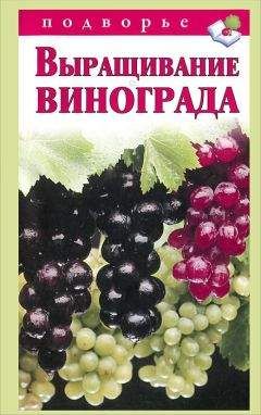 Анна Кузнецова - Домашний виноградник