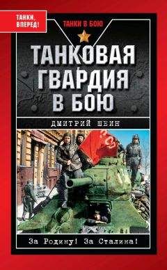 Теодор Хоффман - «Викинги» Гитлера. Эсэсовский интернационал