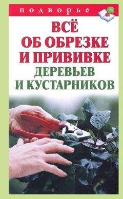 Илья Мельников - Что можно вырастить Что делать, если плодовое дерево заболело