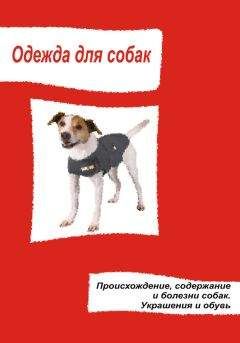 Илья Мельников - Одежда для собак. Одежда, обувь и украшения