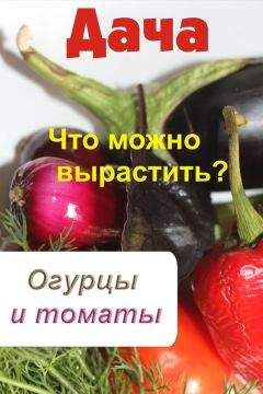 Илья Мельников - Что можно вырастить? Огурцы и томаты