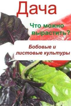 Джулия Кэмерон - Путь художника