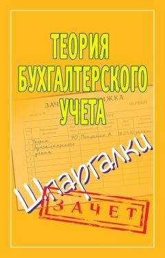 Виктор Стражев - Теория бухгалтерского учета
