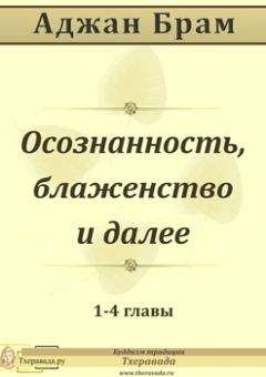 Намкай Ринпоче - 3-и раммышления, трое врат и осознанность