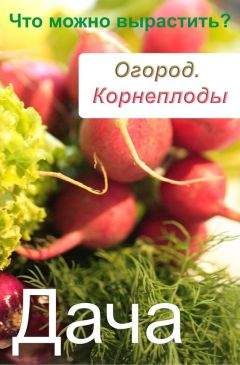 Евгений Банников - Дача. Что и как можно вырастить?