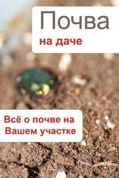 Илья Мельников - Что можно вырастить Что делать, если плодовое дерево заболело