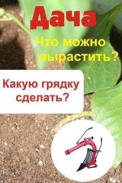 Сергей Кашин - Украшаем сад своими руками. Практичные советы для бережливых садоводов