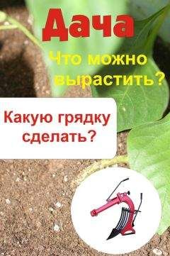 Илья Мельников - Что можно вырастить Что делать, если плодовое дерево заболело