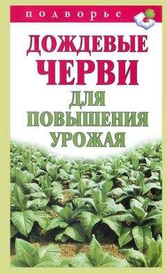 Анастасия Красичкова - Золотая книга приусадебного участка