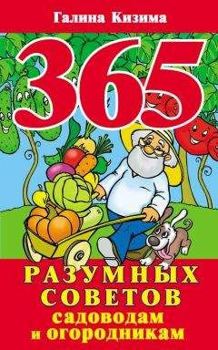 Галина Кизима - Цветник для ленивых. Цветы от последнего снега до первых морозов