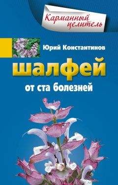 Юрий Константинов - Шиповник. От 100 болезней