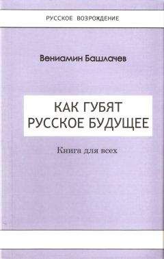 Вениамин Башлачев - Что было… Что ожидать… Демографические этюды (СИ)