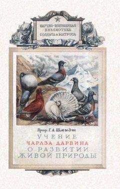 Александр Стрижев - Календарь русской природы