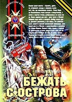 Виктор Степанычев - Терминатор из глубинки