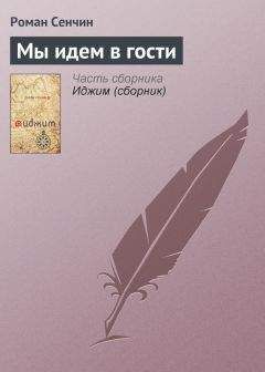 Роман Сенчин - Мелочи