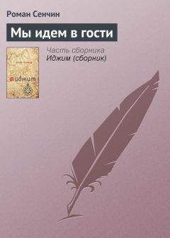 Роман Сенчин - Чего вы хотите? (сборник)