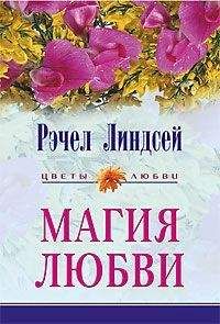 Рэчел Линдсей - От ненависти до любви