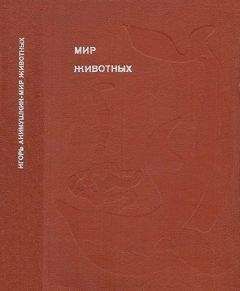 Дэвид Эттенборо - Мадагаскарские диковины