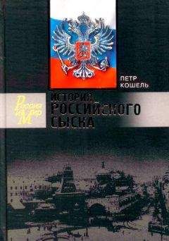 Евгений Анисимов - Русская пытка. Политический сыск в России XVIII века