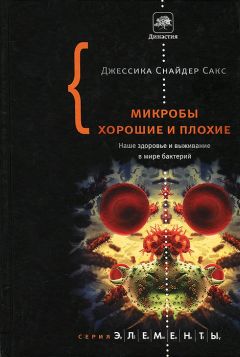  Коллектив авторов - 100-летию академика П.А. Кирпичникова. Научная сессия (5-8 февраля 2013 г.)