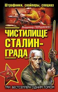 Владимир Першанин - Сталинград. Десантники стоят насмерть
