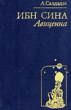 Реферат: Ибн-Сина по книге Сагадеева А.В.