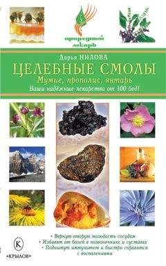 Илья Панин - Чудесное медолечение. Мед, перга, прополис, маточное молочко в домашней аптечке