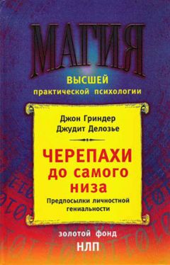 Джон Гриндер - Черепахи до самого низа. Предпосылки личной гениальности