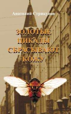 Лев Портной - 1812. Год Зверя. Приключения графа Воленского