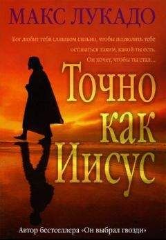 Макс Лукадо - История, расказанная ангелом
