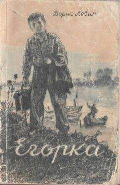 Минель Левин - Операция «Ходики»