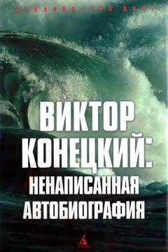 Дарья Донцова - Записки безумной оптимистки. Три года спустя: Автобиография