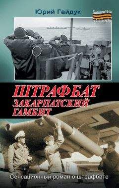 Юрий Погребов - В прорыв идут штрафные батальоны