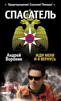 Андрей Воронин - Спасатель. Серые волки