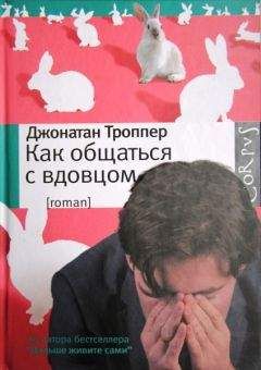 Джонатан Троппер - Книга Джо