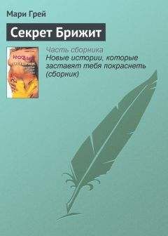 Хейди Бетс - Маленький секрет