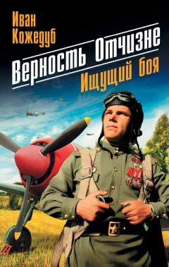 Андрей Калиниченко - В небе Балтики