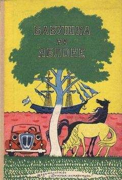 Вера Ферра-Микура - Путешествие в город чудаков