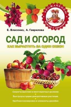 Евгений Банников - Дача. Что и как можно вырастить?